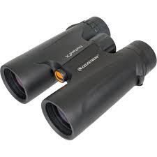 Best 10x42 Binoculars 2023 
