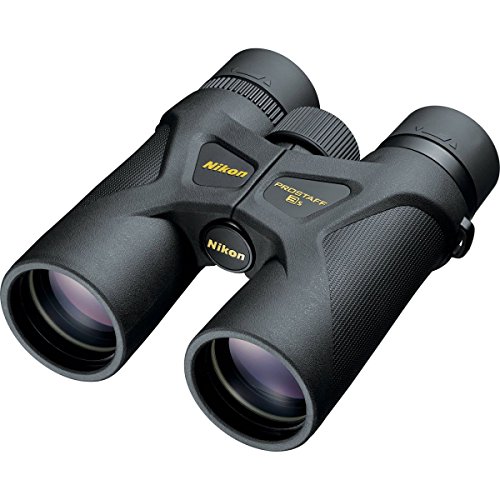 Best Binoculars for Wildlife Viewing 2023